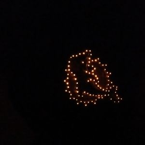 Miami dolphins snap back with fiber optics.